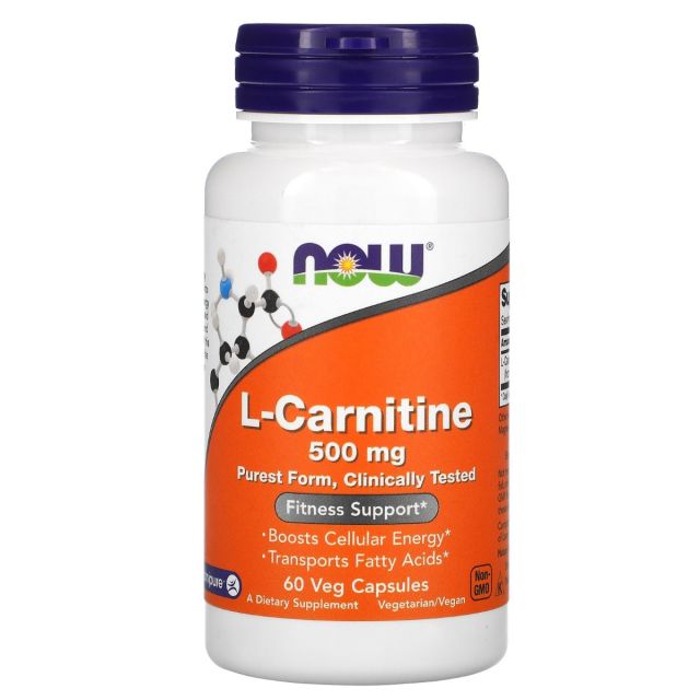 L-CARNITINE 500MG - 60 CÁPS